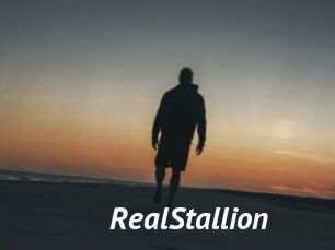 RealStallion