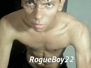 RogueBoy22