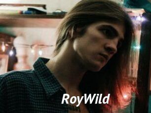 RoyWild