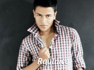 Raulnice
