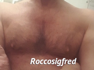 Roccosigfred