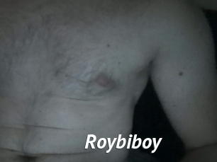 roybiboy Gay Vod