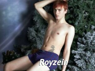 Royzein