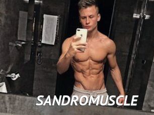 SANDRO_MUSCLE
