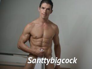 Santtybigcock