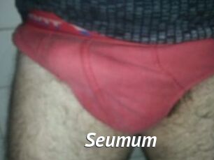 Seumum Gay Vod