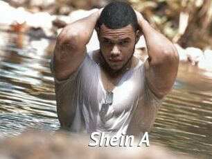 Shein_A