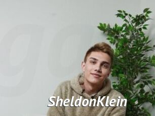 SheldonKlein