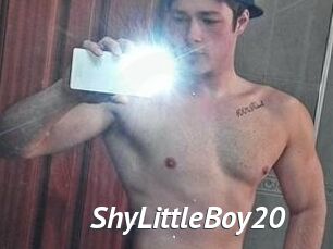 ShyLittleBoy20