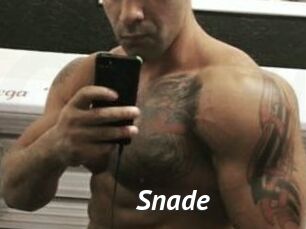 Snade