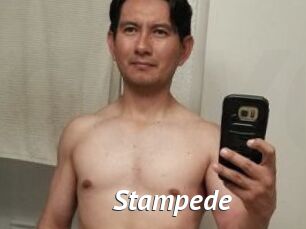 Stampede