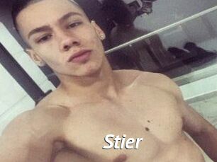 Stier