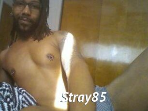 Stray85