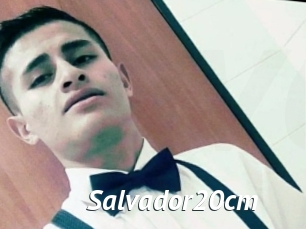 Salvador20cm