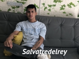 Salvatredelrey