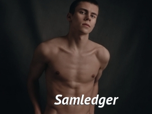 Samledger