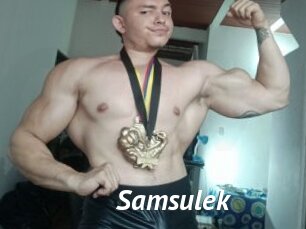 Samsulek