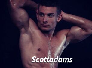 Scottadams