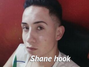 Shane_hook