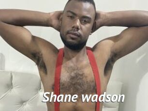 Shane_wadson
