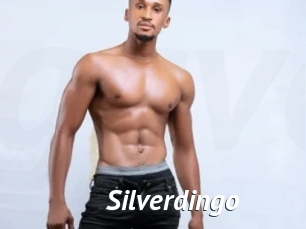 silverdingo Gay Vod