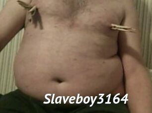 Slaveboy3164