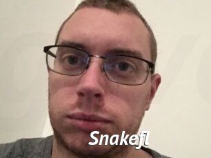 Snakefl