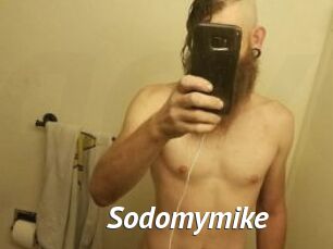 Sodomymike