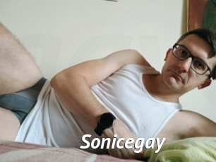 Sonicegay