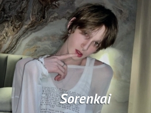 sorenkai Gay Vod
