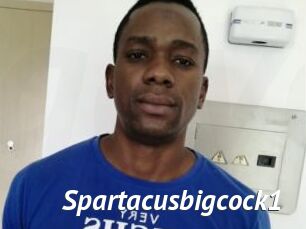 Spartacusbigcock1