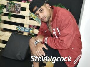 Stevbigcock