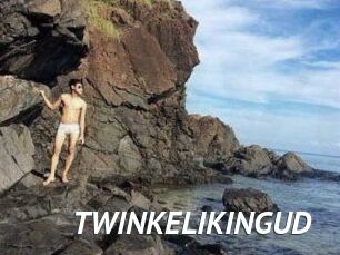 TWINKELIKINGUD