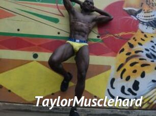 TaylorMusclehard