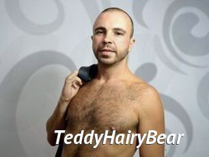 TeddyHairyBear