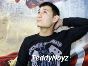TeddyNoyz