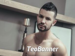 TeoBanner
