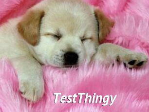 TestThingy