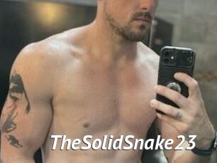 TheSolidSnake23