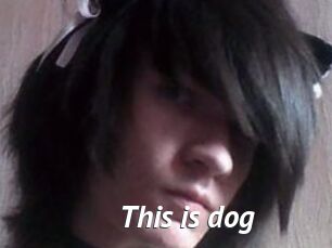 This_is_dog