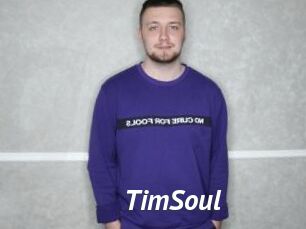 TimSoul