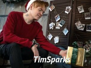 TimSparks