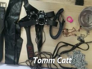 Tomm_Catt
