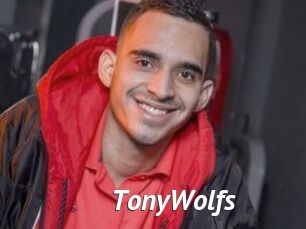 TonyWolfs