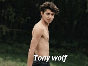 Tony_wolf