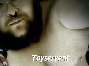 Toyservent