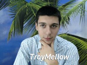 TroyMellow Gay Vod