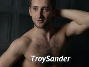 TroySander