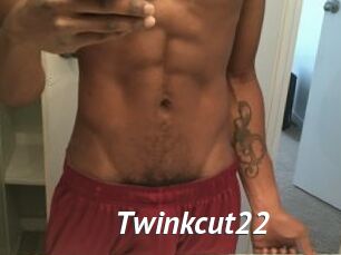 Twinkcut22