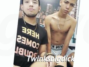 Twinksbigdick